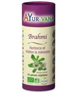 Brahmi